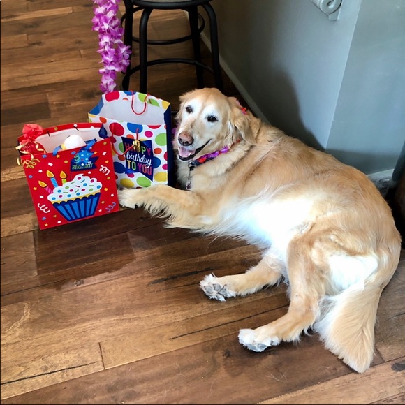 Smoke free/Pet friendly💛 - Picture 15 of 16